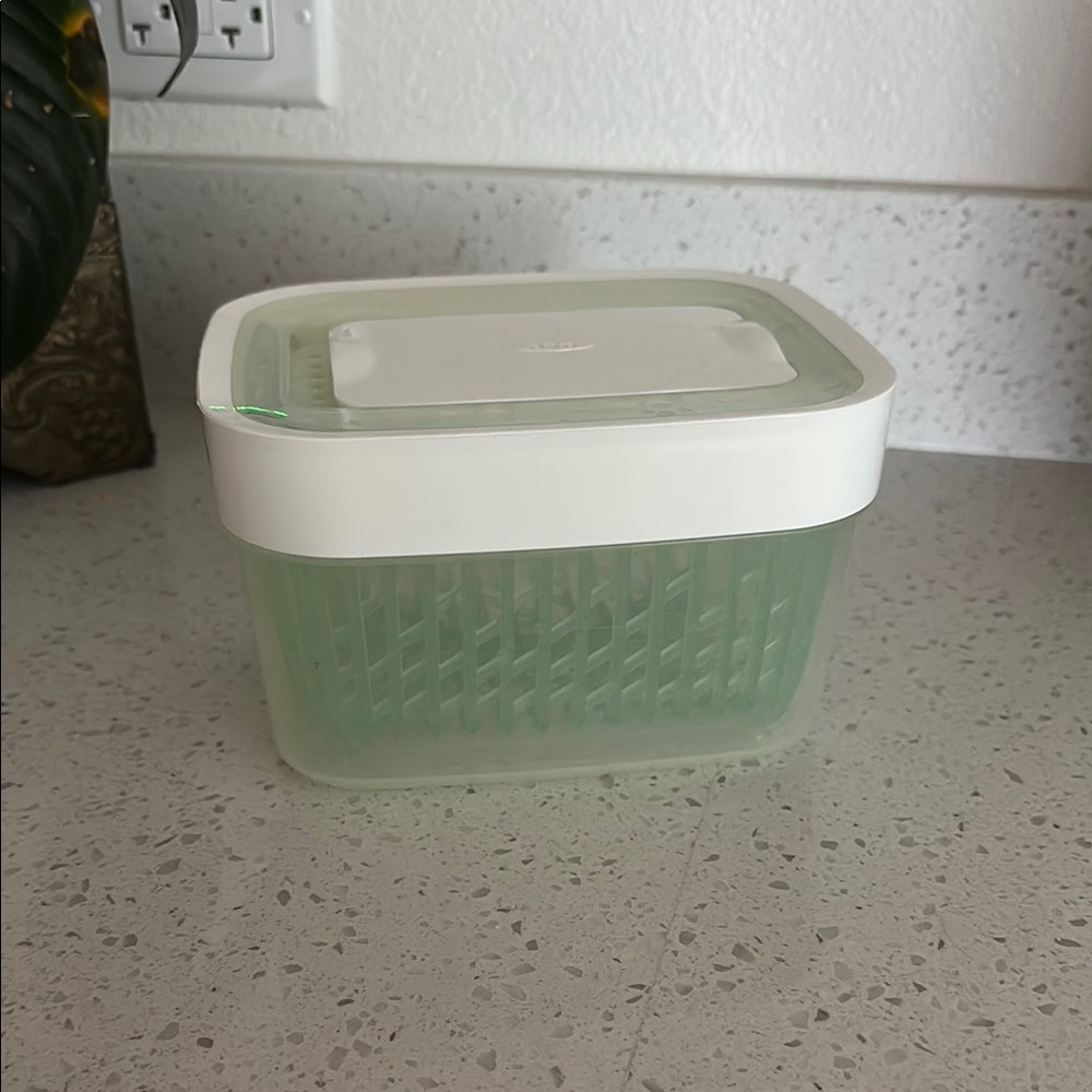 Oxo Fresh Green Storage Box with White Lid